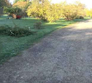 Botanischer Garten