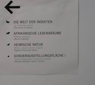 Staatliches Naturkunde Museum