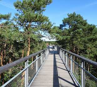 Unterwegs auf dem Baumwipfelpfad Heide Himmel