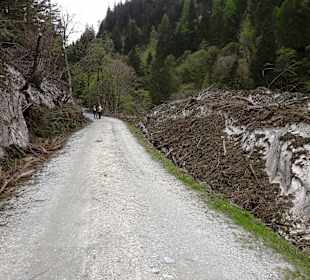 Palfneralm