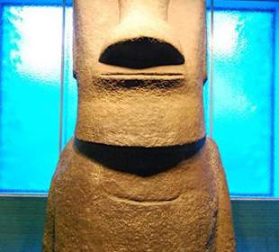 Museo de Historia Natural