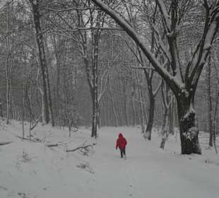 Durch verschneiten Wald hinab zur Wupper