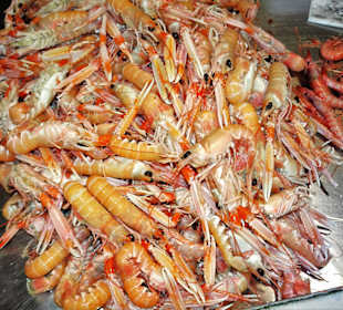 Rundgang zwischen den Auslagen des Mercato Civico