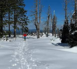 Skigebiet Hochficht