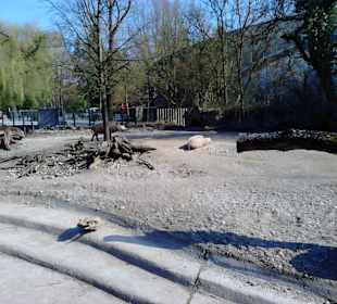 Tierpark Hellabrunn in München