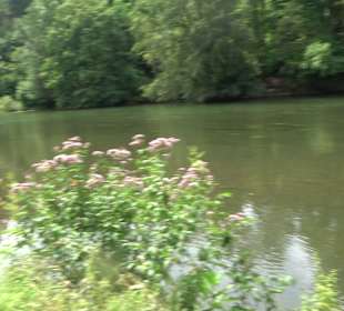 Wanderrunde Emeringen zum Rechtenstein