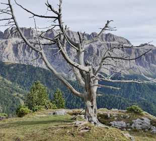 Wandern Santa Cristina Valgardena