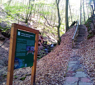 Naturdenkmal Elendsklamm in Landstuhl