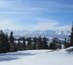 Niebieska trasa do Kotelnicy Express