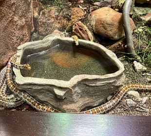 Aquazoo Löbbecke Museum Düsseldorf