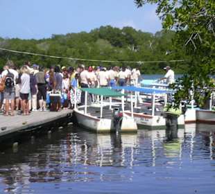 Mangrovenwälder Jeep Safari