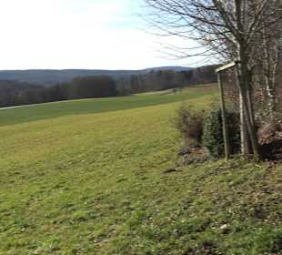 Lourdesgrotte Zwiefalten-Sonderbuch