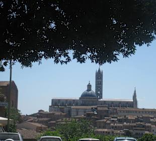Siena