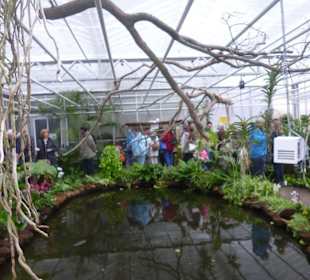 Im Schmetterlinghaus