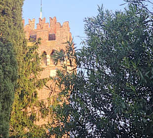 Altstadt Lazise