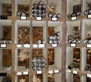 Die Schatzkammer des Bremer Ratskeller