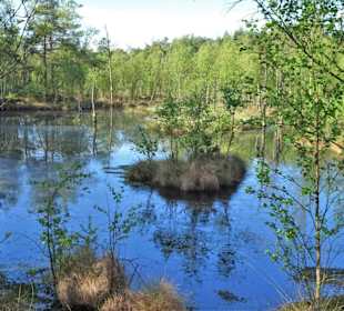 Impressionen vom Rundgang durch das Pietzmoor