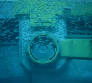 Aquarium mit Untersee-Station