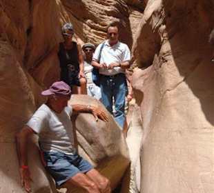 Super Safari Tour nach St. Catherine & Canyon