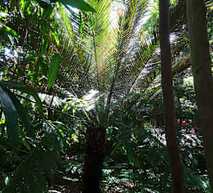 Stadtrundgang Sydney