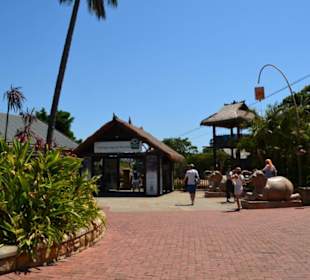 Taronga Zoo