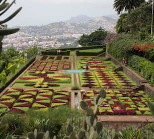 Botanischer Garten