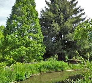 Impressionen aus dem Botanischen Garten Düsseldorf