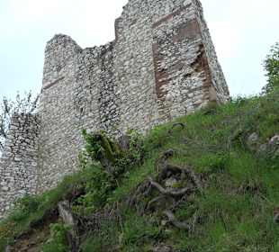 Ruine Burg Kaltenburg