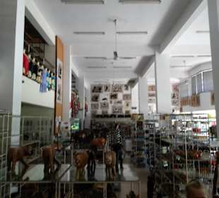In der Moiz Boutique