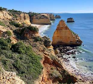 Seven Hanging Valleys Trail 