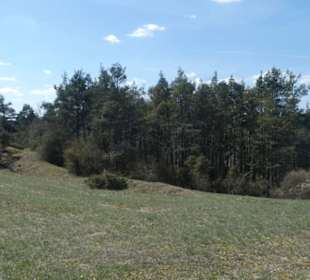 Unterwegs auf dem Wacholder-Wanderweg