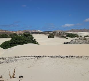 Geführte Touren CaboKaiTours Sal Rei