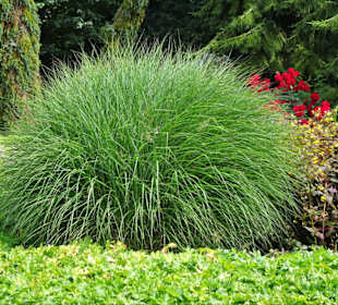 Eindrücke vom Rundgang durch den Park der Gärten