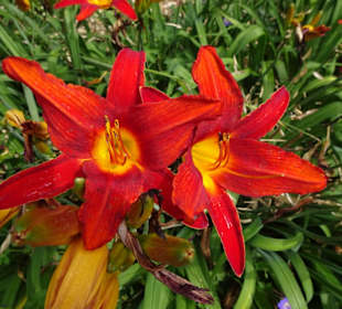 Eindrücke vom Rundgang durch den Park der Gärten