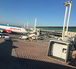Flughafen Frankfurt am Main (FRA) 