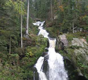 Triberger Wasserfälle