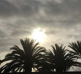 Inselrundfahrt La Palma