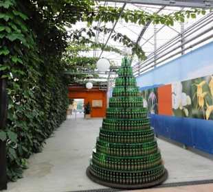 Raffeiner Orchideenwelt