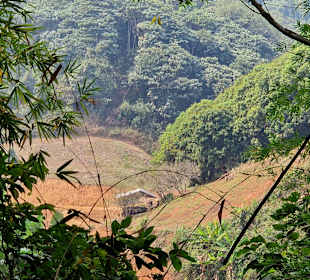 Wandern Ban Mae Chan