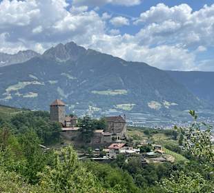 Blick auf Schloss Tirol