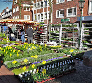 Rundgang über den Emder Wochenmarkt