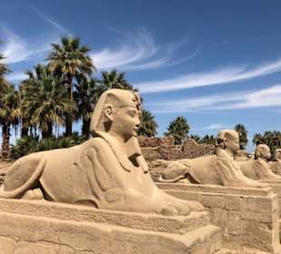 Sphinx-Allee in Luxor
