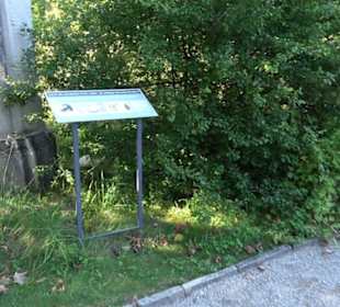 Botanischer Garten München