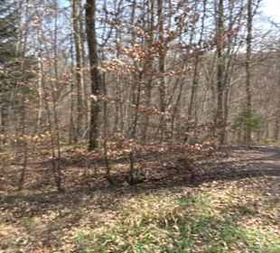 Geologischer Lehrpfad Kirnbachtal