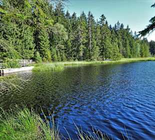 Eindrücke vom Rundgang um den Fichtelsee