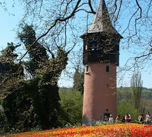 Mainau