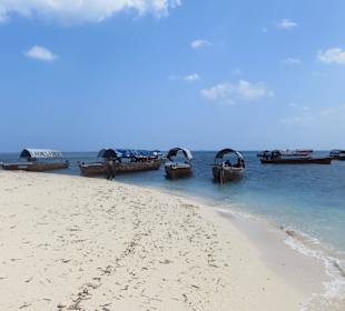 Nun geht es wieder zurück nach Sansibar