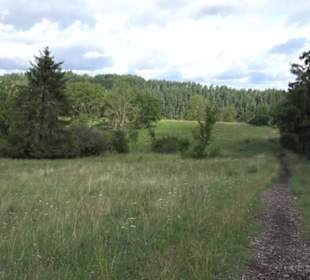 Naturschutzgebiet Zollerhalde Zimmern