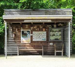 Infostand zu Vögeln und Nistkästen