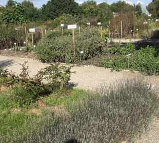 Botanischer Garten München